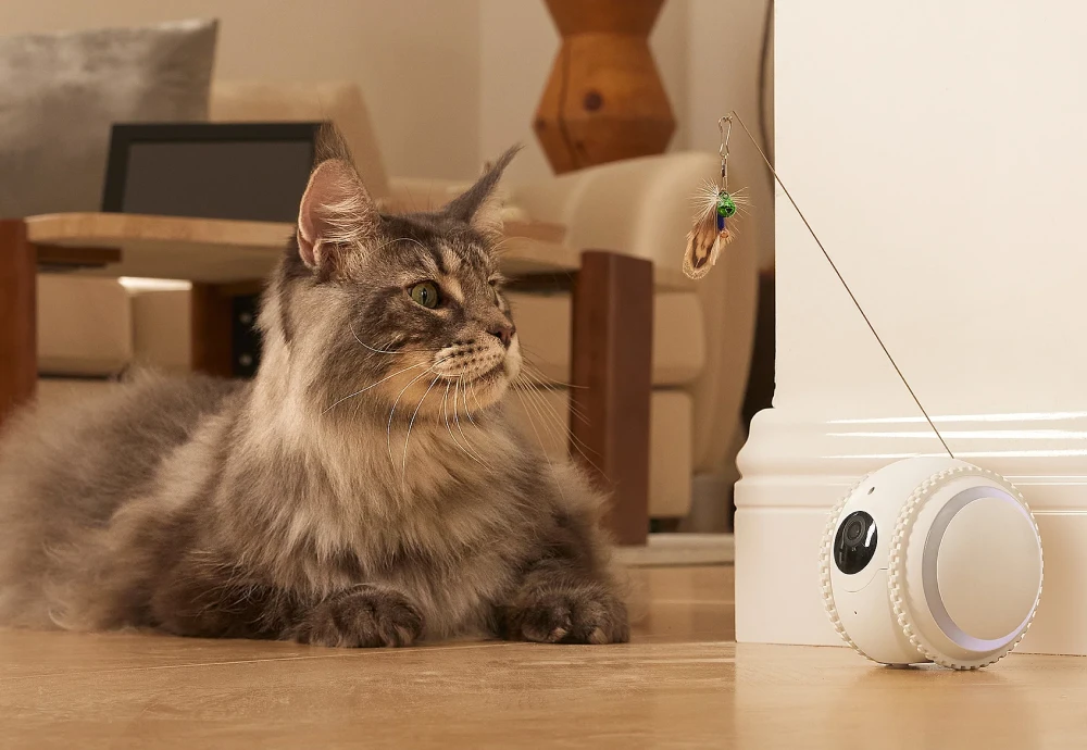 best in home cameras for pets